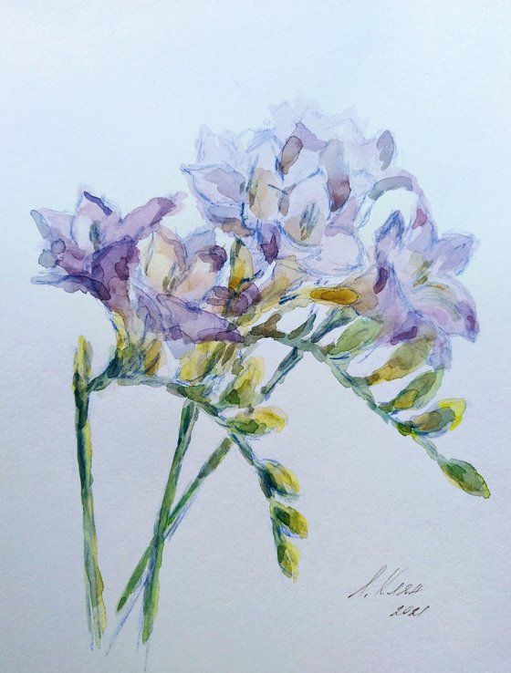 Freesias #2 original watercolour painting.