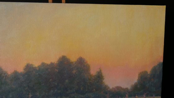 Sunset Over The Fireweed Field - summer painting landscape