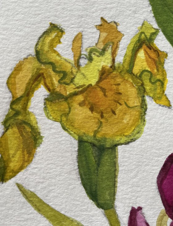 Rhododendron and Yellow Iris