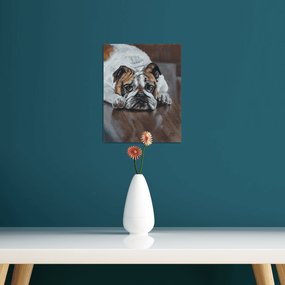 Bulldog... FROM THE ANIMAL PORTRAITS SERIES / ORIGINAL PAINTING