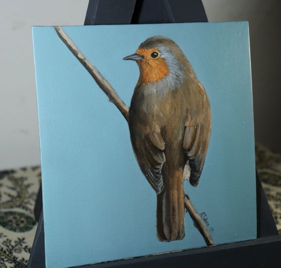 Robin Study Painting