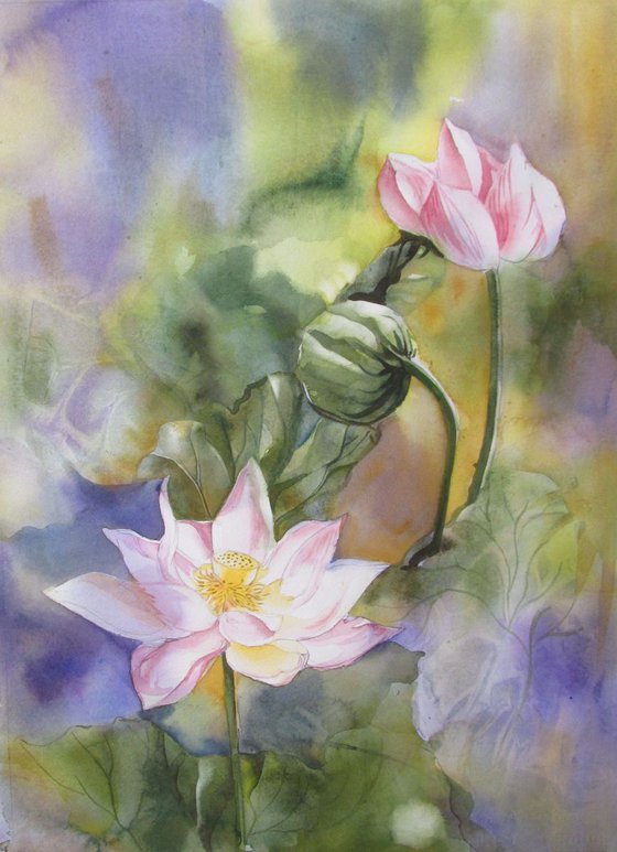 lotus watercolor