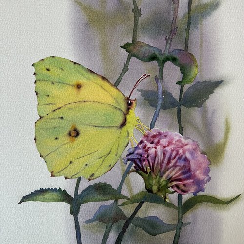 Yellow butterfly by Alina Karpova