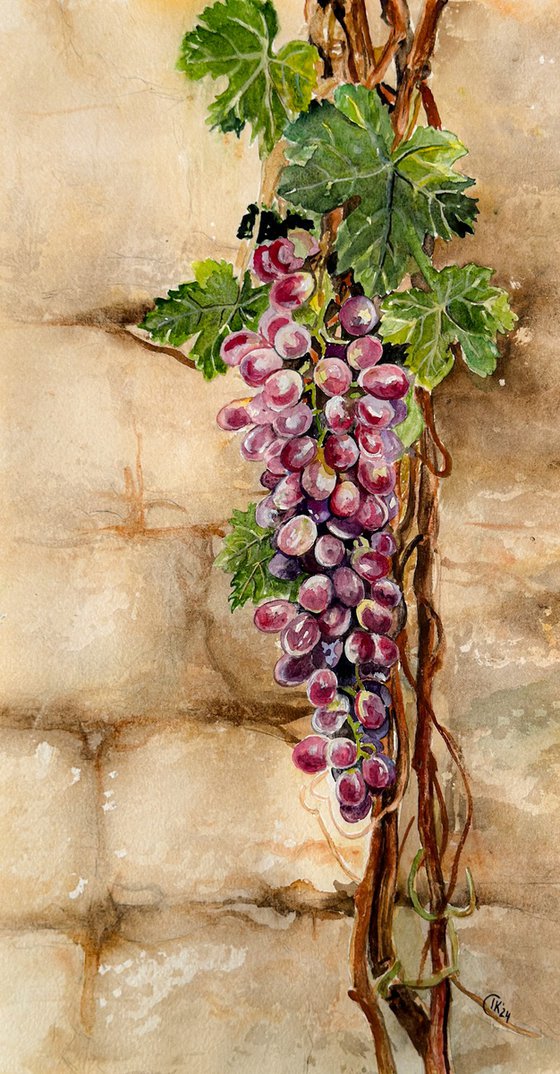 Whispers Through the Wall – Grapevine