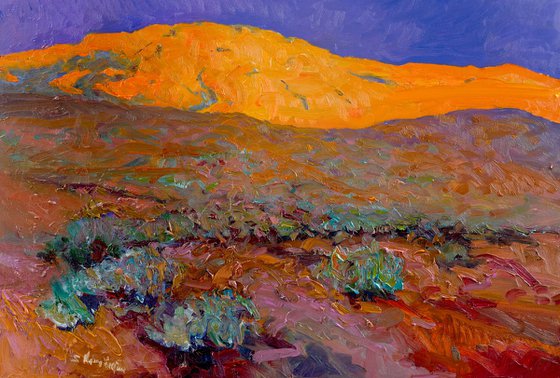 Sunset in the Desert. Arizona