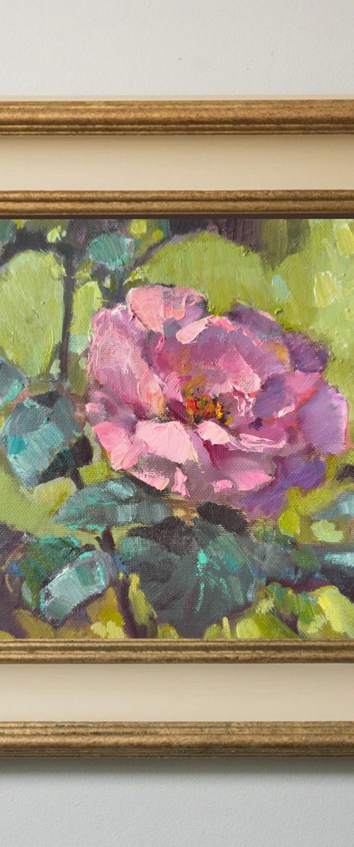 One pink rose by Olha Laptieva