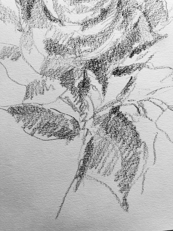 Roses #5 2020. Original charcoal drawing