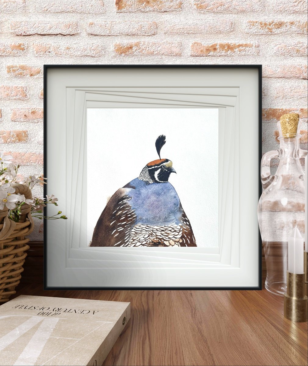 Animal Watercolour By Yuliia Sharapova, 14 X 18", Portrait California Quail Male, Original Artwork