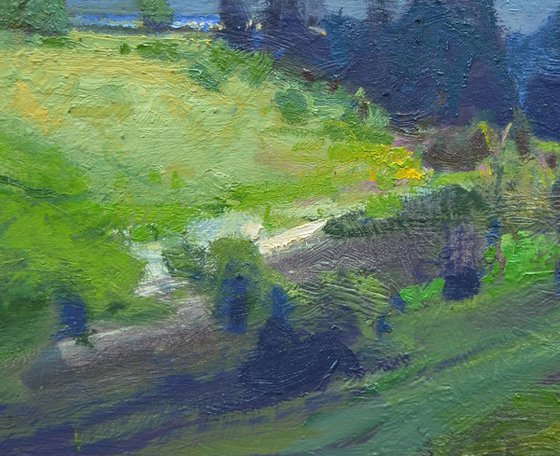 Summer Shadows