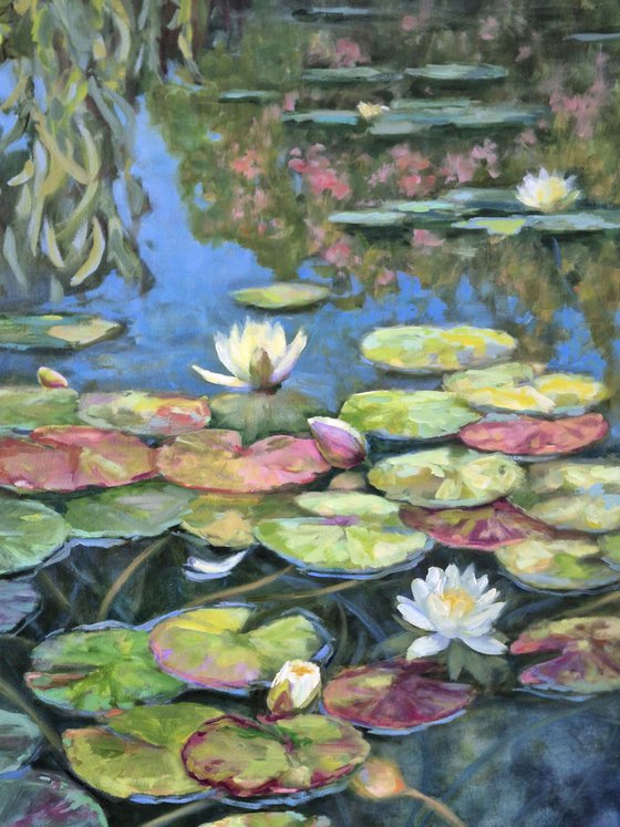 Aquatic sanctuary