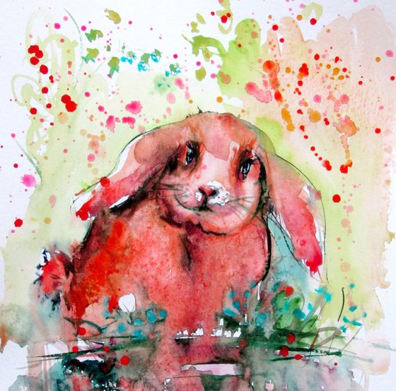 Cute rabbit