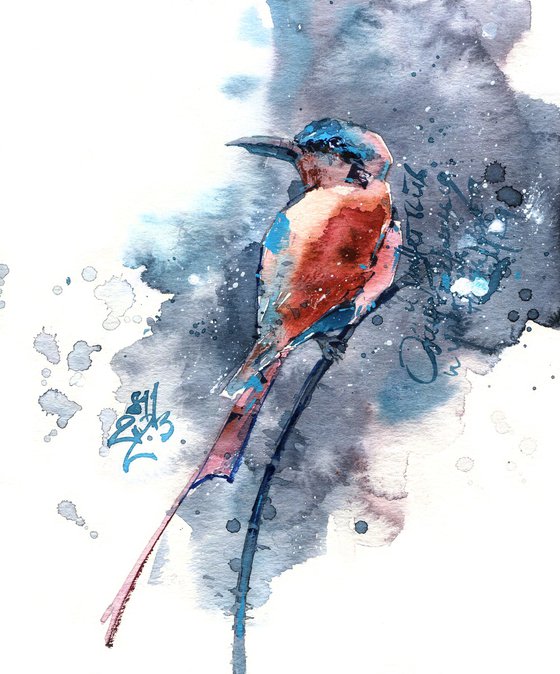 "Instant" - watercolor sketch of a bright red and blue bird on a branch on a gray background