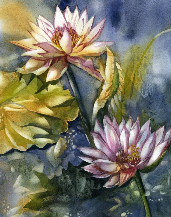 waterlilies watercolor floral