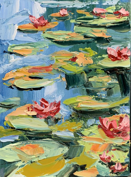 Pond with water lilies.