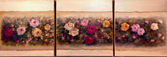 Antique Roses