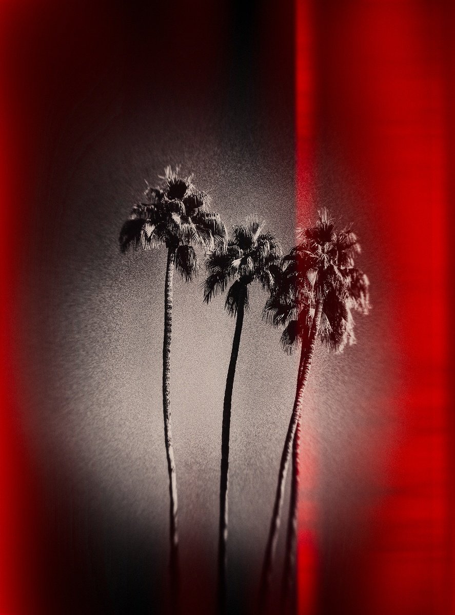 Expressive Landscape Photograph By Heike Bohnstengel, 18 X 24, Palm Tree Skies, Palm Springs, Original Artwork