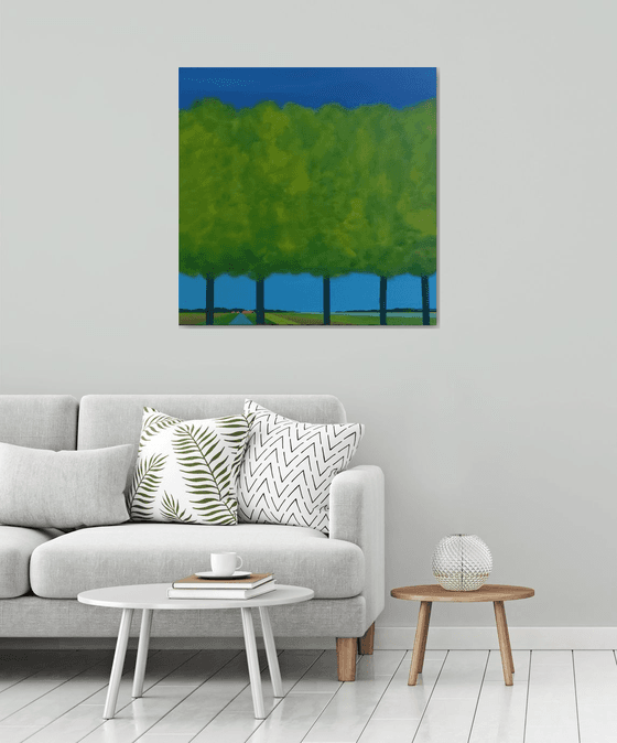 Trees in the polder