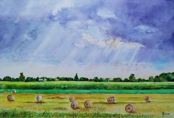 READY HARVEST