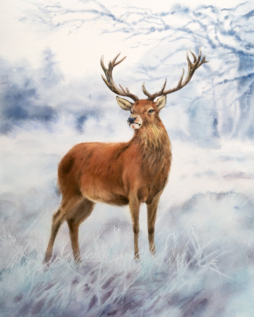 Stag Deer in Winter Forest - Christmas gift by Olga Beliaeva Watercolour