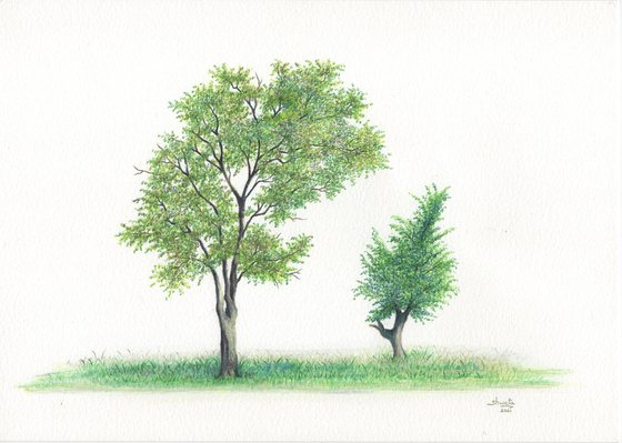 Two Trees