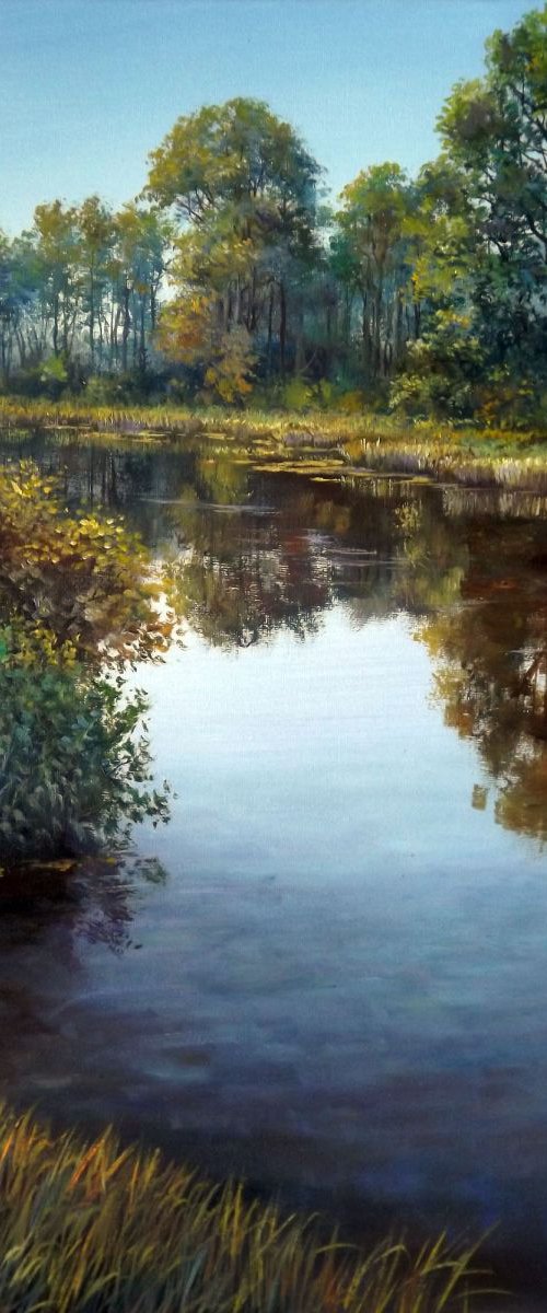 Forest Creek by Oleg Riabchuk