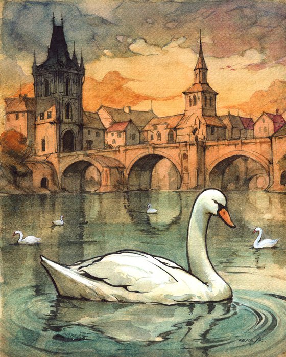 Swan in Prague