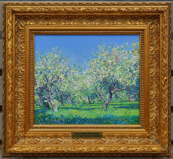 Apple tree in bloom. Kolomenskoye