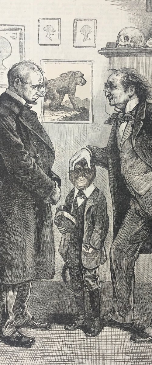 A Difficult Boy by Tudor Evans