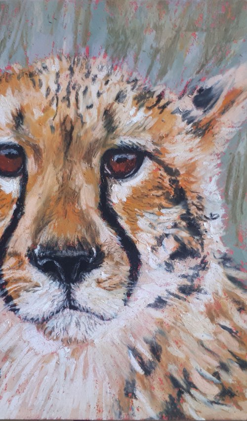 Cheetah / From the Animal Portraits series /  ORIGINAL PAINTING by Salana Art Gallery