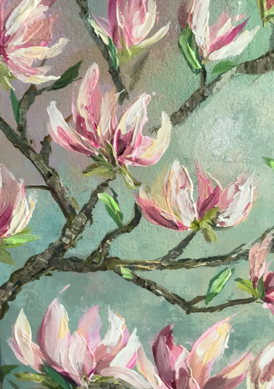 Magnolia in Spring