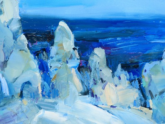 "Mountains in winter  "