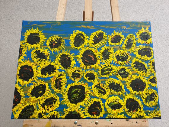 Blooming sunflowers 6