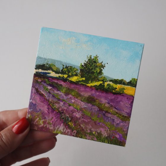 Lavender Field and Trees