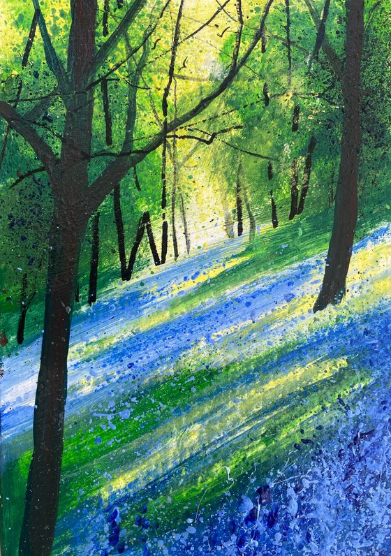 Bluebell Carpet