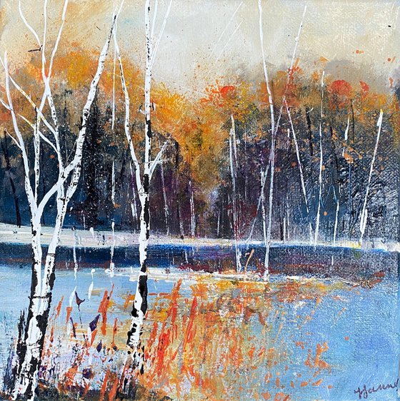 Seasons Winter Silver Birches