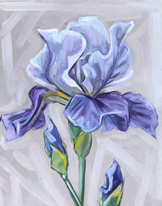 Iris Flower Oil Painting on canvas 28x35cm