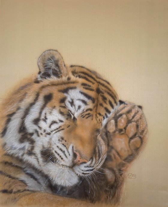 Dreamy tiger I