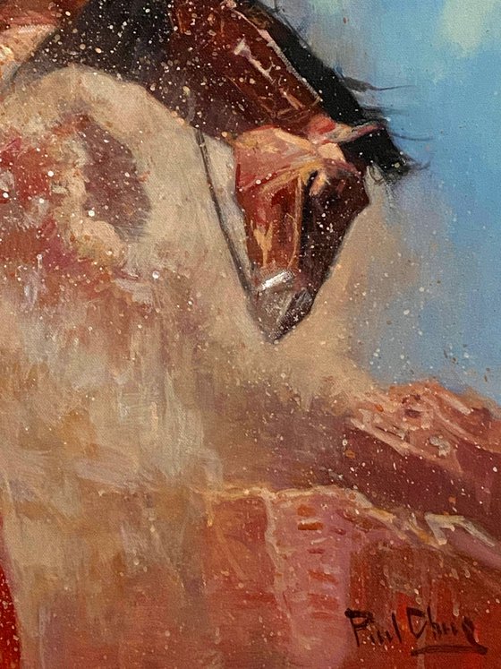 Gallop Over the Red Cliffs