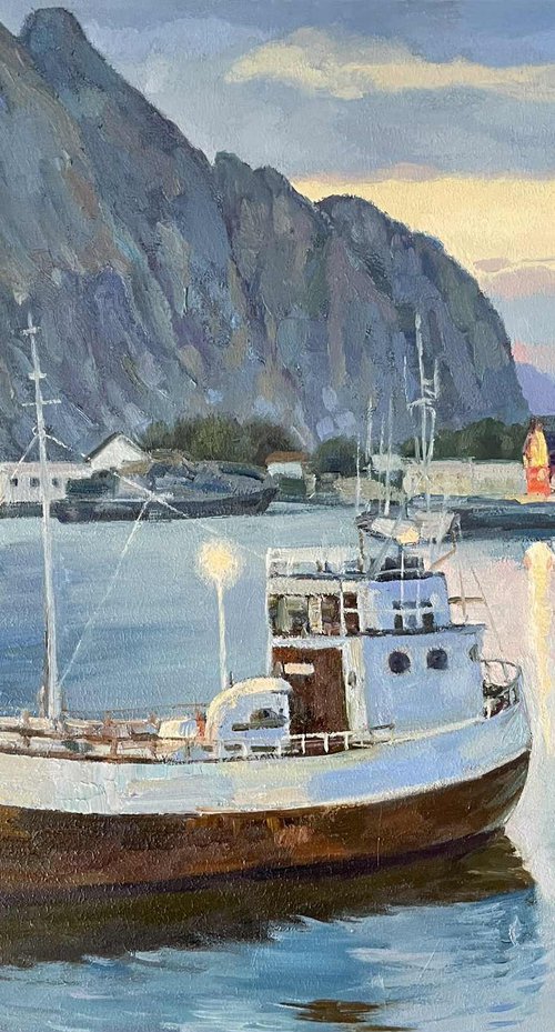 Lofoten night by Nadezda Stupina
