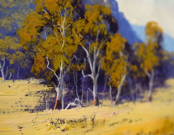 Australian Landscape with Gum trees