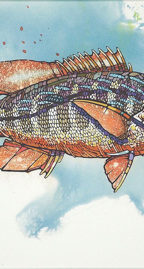 Snapper - Framed watercolor by Rick Paller