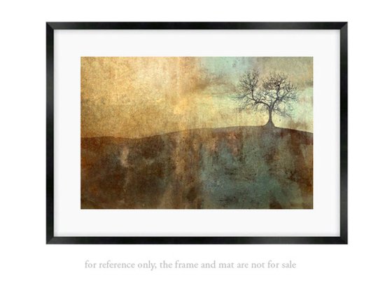 the hill Photography (limited edition) by Nadia Attura | Artfinder