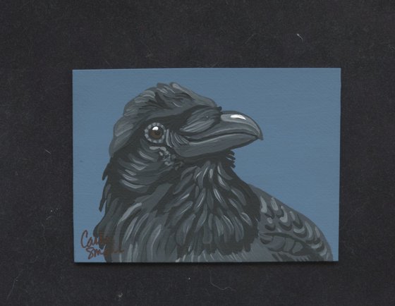 Crow Raven
