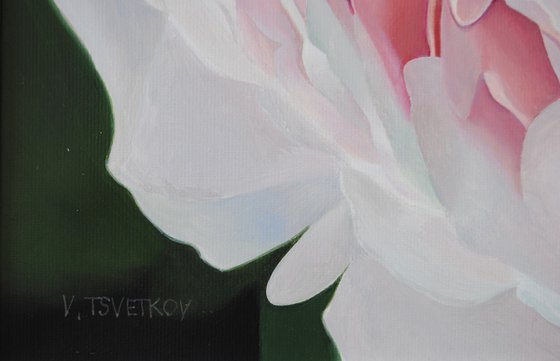 White peony