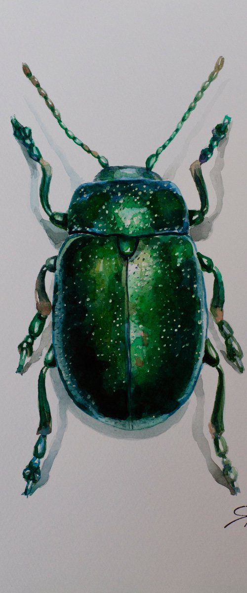 Green beetle by Yafit Moshensky