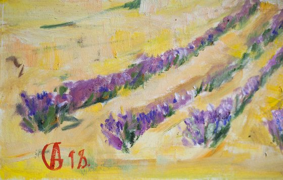 Lavender field in Provence. Original oil art work medium size interior home decor france classic landscape green purple