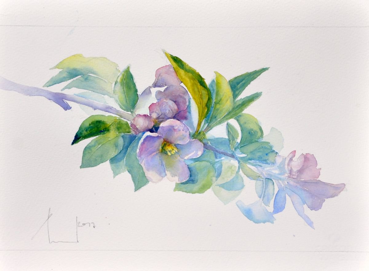 APPLE BLOSSOM I original watercolor 37X28 by Beata van Wijngaarden