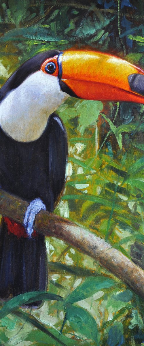 Toucan by Gabriel Hermida