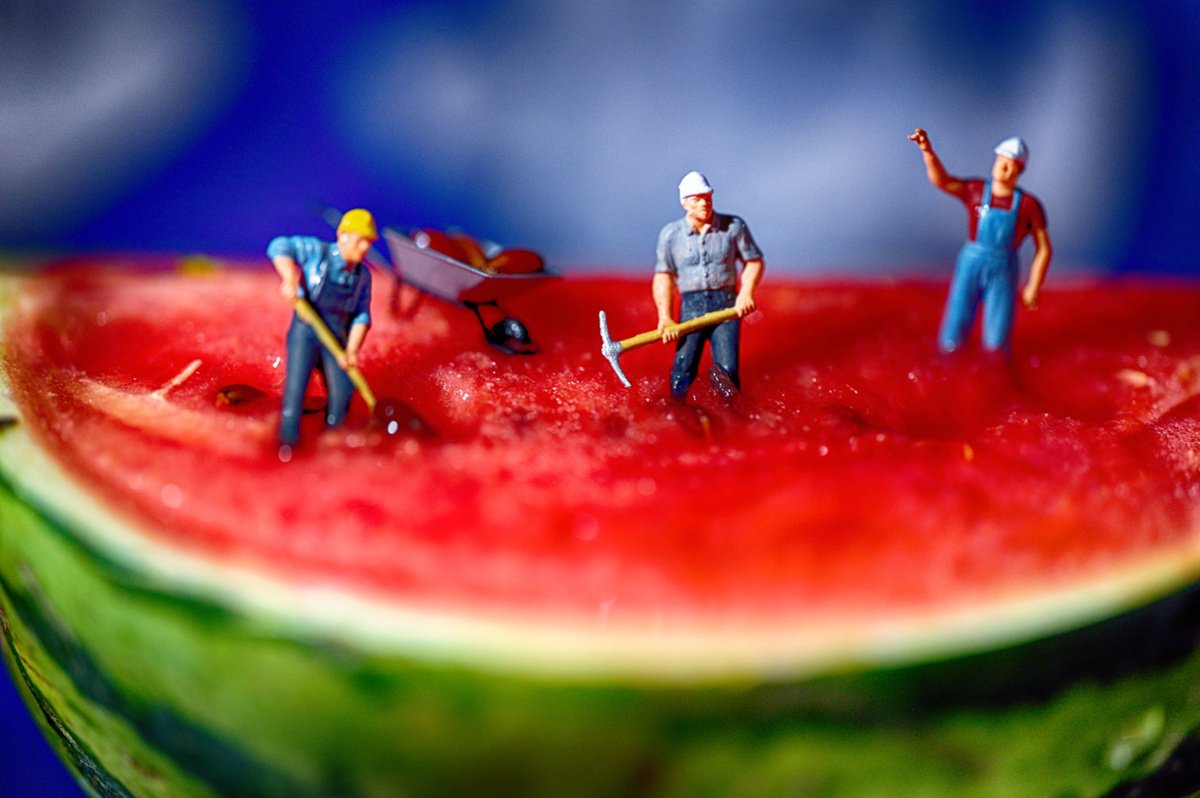 Organic Abstract Photograph By Marc Ehrenbold, 40 X 30", Watermelon Miners, Original Artwork