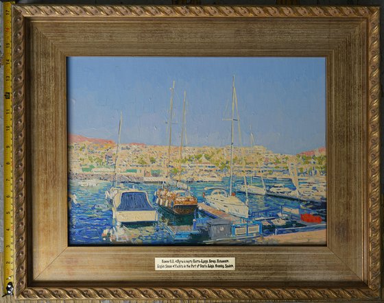 Yachts in the port Costa